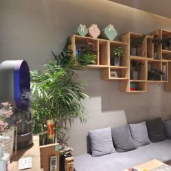 -卡莫瑜伽·普拉提