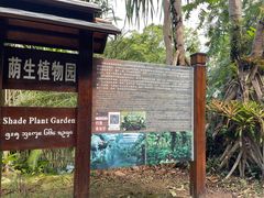 -中国科学院西双版纳热带植物园