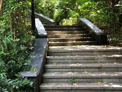 -大屏嶂森林公园