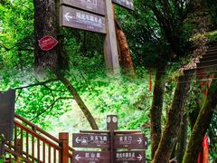-光雾山旅游景区