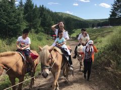 -塞罕坝国家级自然保护区