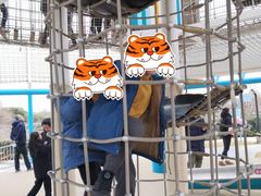 -季高兔窝窝亲子园(上海薰衣草公园店)