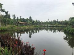 -枫香湖儿童公园
