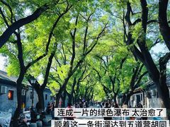 -北京国子监胡同
