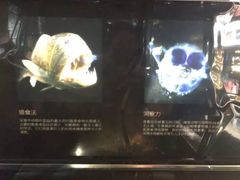 -同济大学四平路校区深海探索馆
