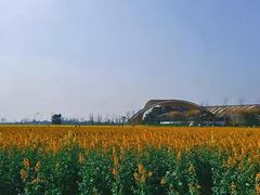 -中国天府农业博览园