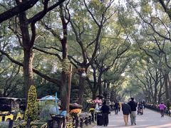 -共青国家森林公园-售票处