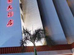 -南中国大酒店
