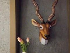 -百玺足道(柳沙店)