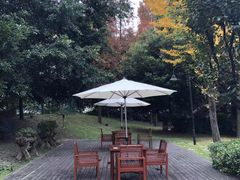 -老房子金沙元年川菜食府·花园餐厅(金沙店)