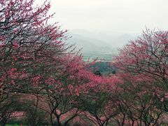 -蒋氏故居