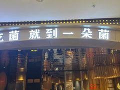 -一朵菌·野生菌探索家火锅(南亚店)