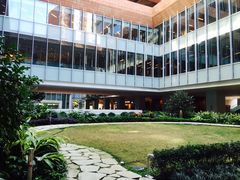 -香港大学