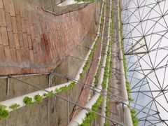 盈香生态园-盈香心动乐园