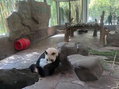 -宁波野生动物园