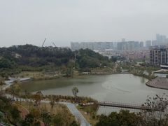 -飞凤山奥体公园