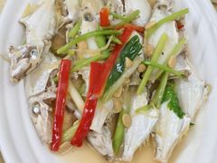 -惠来大排档(联创商业街店)