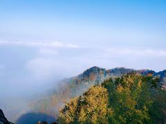 -秦岭风景区