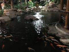 -龙达温泉生态城
