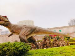 -陕西自然博物馆