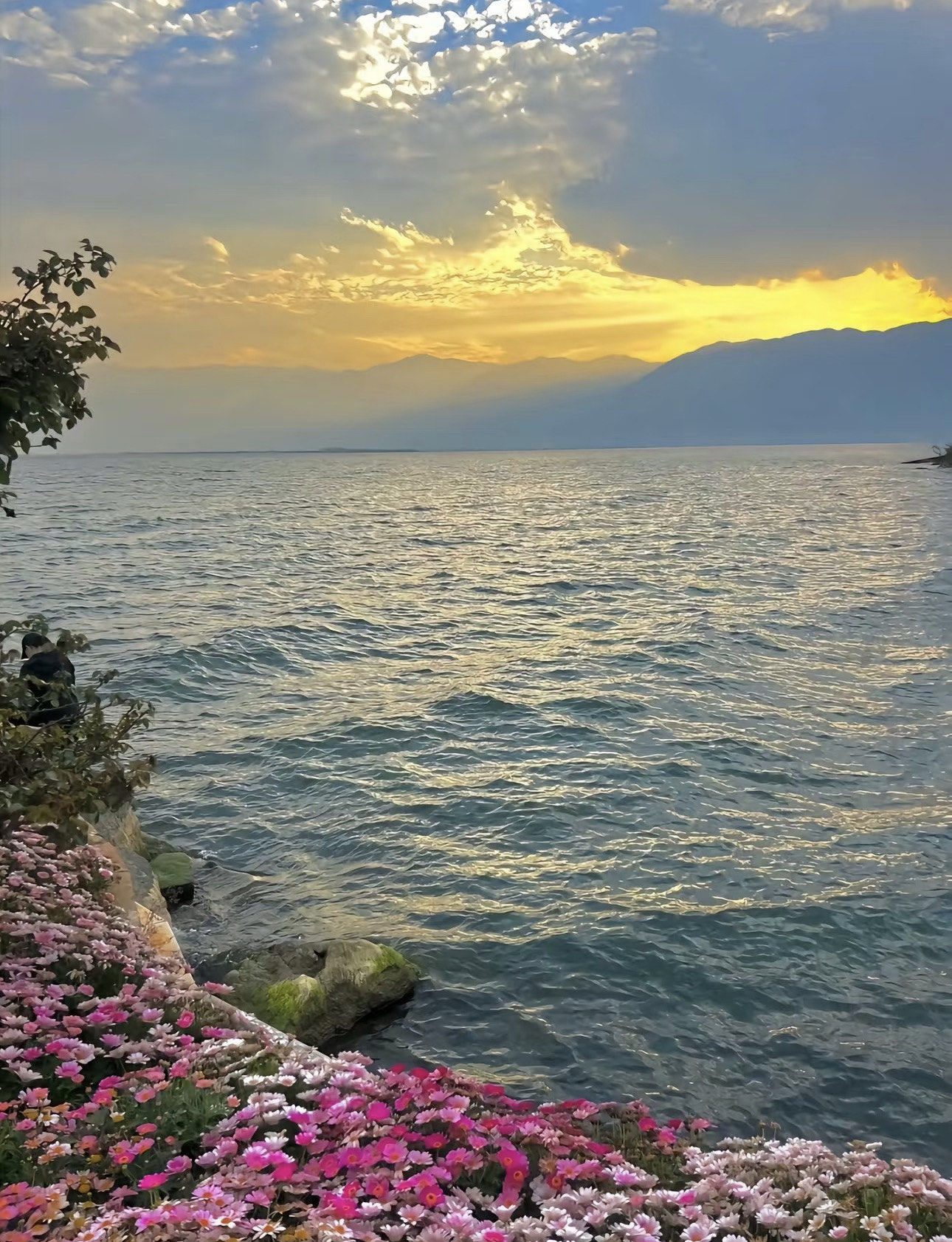 天天领红包洱海,位于云南省大理白族自治