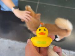 -LINLEE林里·手打柠檬茶(锦江太古里店)