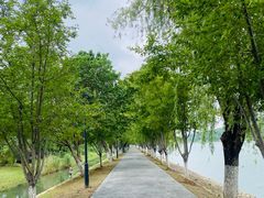 -羊山湖公园