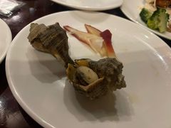 -荣誉国际酒店-云顶旋转餐厅