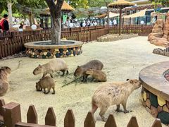 -大连森林动物园