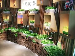 -番食园鲜食火锅(高新店)