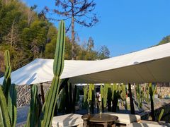 -MOJ coffee(瓯海泽雅水碓坑店)