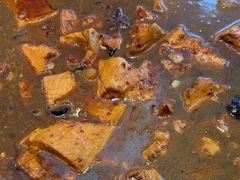 -徽三说·土徽菜·中国徽菜连锁品牌(一中店)