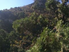 -北京上方山国家森林公园