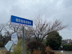 -善卷洞风景区