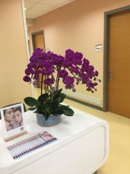-北京爱育华医院-医疗美容科