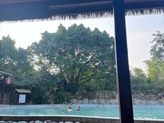 -天赐温泉