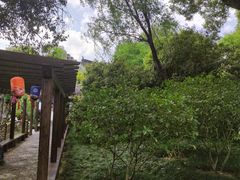 -上海醉白池公园