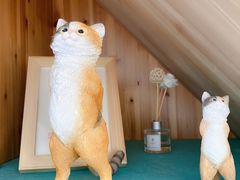 -猫在这儿猫咪咖啡馆·撸猫馆