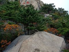 -崂山仰口游览区