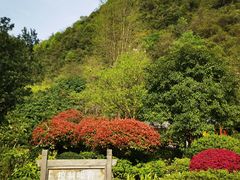 -黔灵山公园