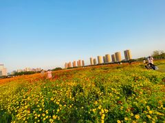 -映月湖中央公园