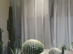 -悦海·家宴·冰花皮皮虾大锅贴(宝龙店)