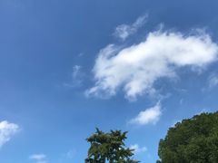 -雨花胜境