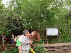 -竹泉村旅游度假区