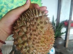 -宝盛园民宿