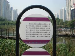 人工湿地简介-苏州河梦清园环保主题公园