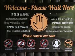 -怀托摩萤火虫洞