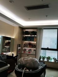 -碧莲盛·不剃发植发