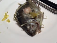 -青蓬蒸汽海鲜·深圳老字号·团建聚会(壹方城店)