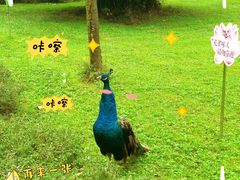 -天赐温泉